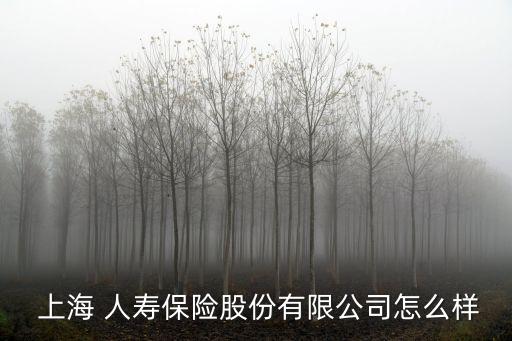  上海 人壽保險(xiǎn)股份有限公司怎么樣