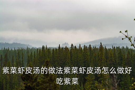 紫菜蝦皮湯的做法，紫菜蝦皮湯的做法紫菜蝦皮湯怎么做好吃紫菜