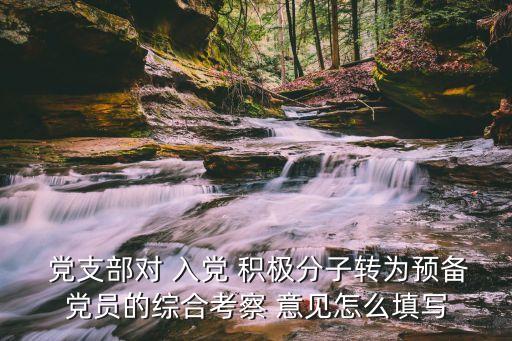 入黨積極分子黨支部意見,考察期填寫黨支部意見新傳媒