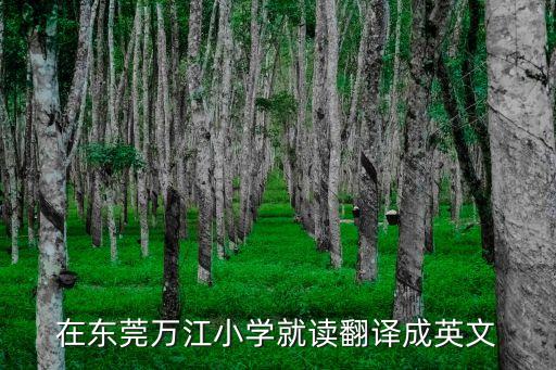 在東莞萬江小學就讀翻譯成英文