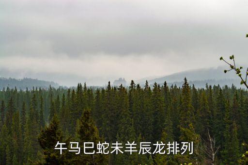午馬巳蛇未羊辰龍排列