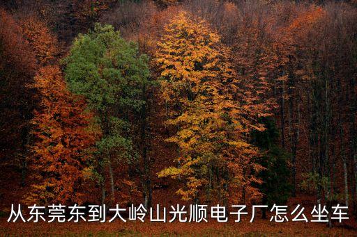 從東莞東到大嶺山光順電子廠怎么坐車
