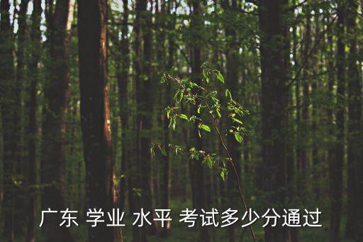 廣東 學業 水平 考試多少分通過