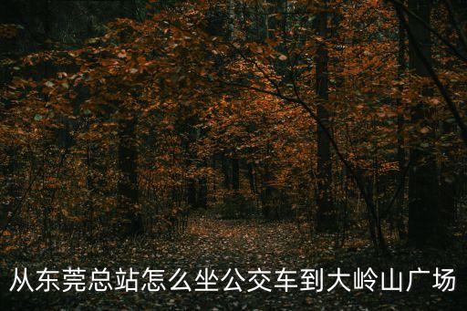 從東莞總站怎么坐公交車到大嶺山廣場