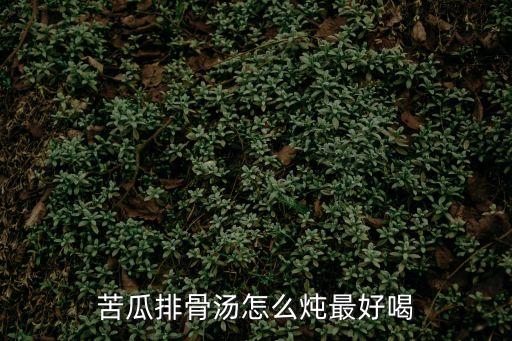 苦瓜排骨湯怎么燉最好喝