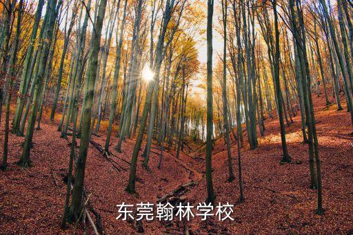 東莞市翰林小學(xué)學(xué)校，東莞翰林學(xué)校好嗎