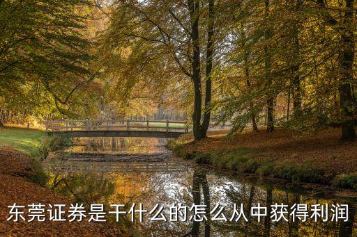 東莞證券是干什么的怎么從中獲得利潤