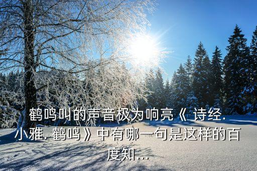 詩經小雅鶴鳴,評選區競選廣播