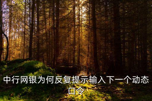中行網(wǎng)銀為何反復(fù)提示輸入下一個動態(tài)口令