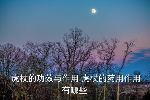 中藥虎杖,可服虎杖可用益母草外傷骨折可配合當歸紅花使用