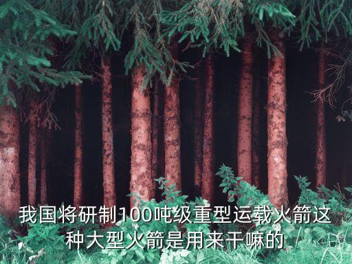 重型運載火箭，美國獵鷹重型運載火箭哪些技術特點