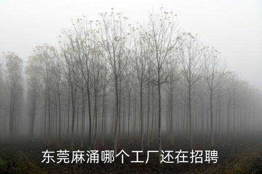 東莞麻涌哪個(gè)工廠還在招聘