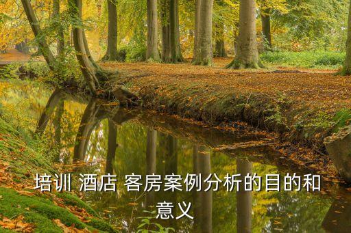  培訓 酒店 客房案例分析的目的和意義