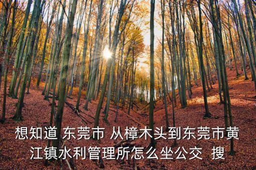 東莞有水利局嗎，東莞長安鎮(zhèn)錦廈水電局在哪里