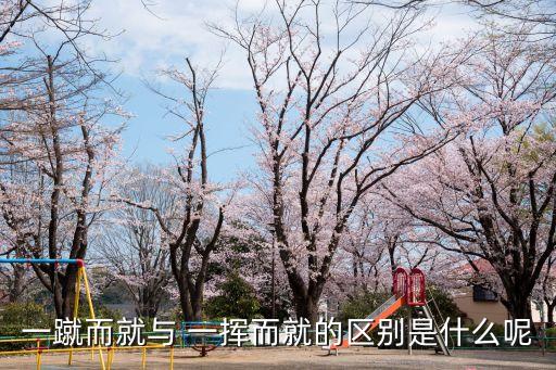 一蹴而就與 一揮而就的區別是什么呢