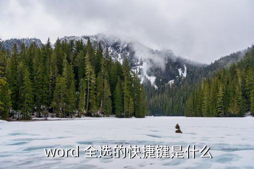 word全選,如何使用ctrl a進行文檔全選?