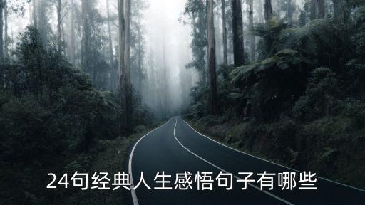 24句經典人生感悟句子有哪些