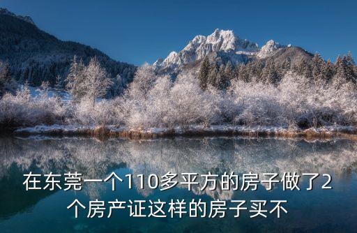 在東莞一個110多平方的房子做了2個房產(chǎn)證這樣的房子買不