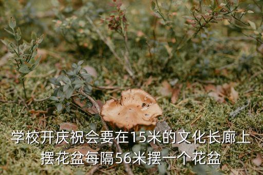 東莞15米書墻，學校開慶祝會要在15米的文化長廊上擺花盆每隔56米擺一個花盆