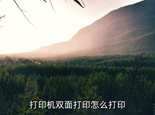 打印機雙面打印怎么打印