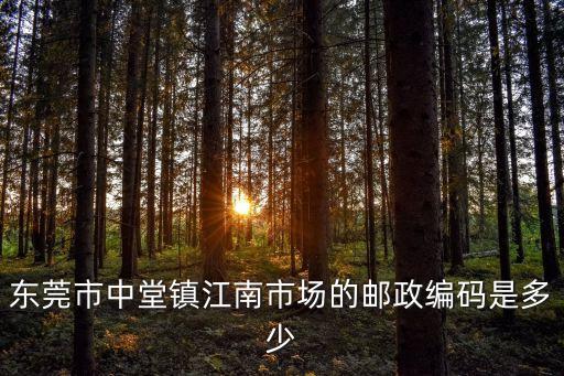 東莞市中堂鎮江南市場的郵政編碼是多少