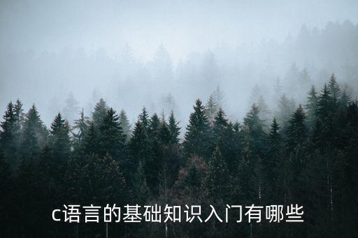 c語(yǔ)言的基礎(chǔ)知識(shí)入門有哪些