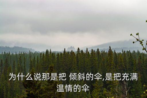 傾斜的傘,每次和媽媽打同一把傘媽媽手里傘總是傾斜
