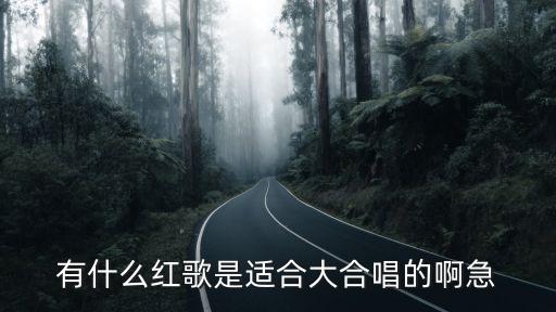 紅歌大聯(lián)唱，有什么紅歌是適合大合唱的啊急