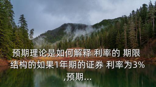 利率的期限結構,利率期限結構形成的內在機制有三種類型