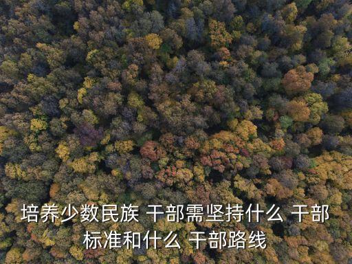 培養(yǎng)少數(shù)民族 干部需堅持什么 干部標準和什么 干部路線