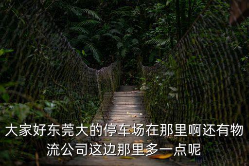 大家好東莞大的停車場在那里啊還有物流公司這邊那里多一點(diǎn)呢