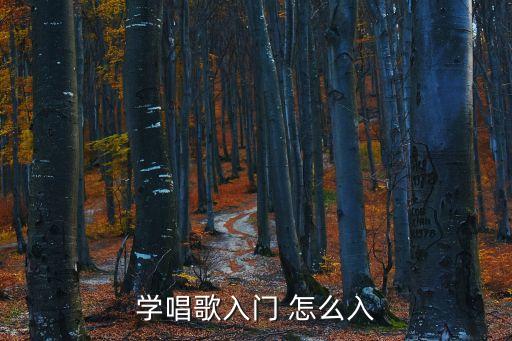 學唱歌入門 怎么入
