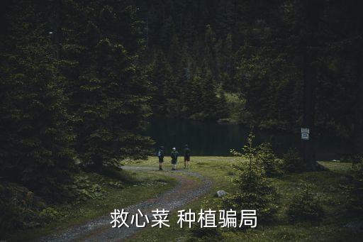 救心菜種植,不得不說植心菜也可進行拉面繁殖