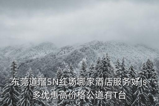 東莞道滘SN紅場哪家酒店服務好js多優惠高價格公道有T臺