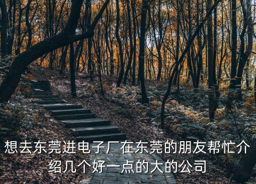 想去東莞進(jìn)電子廠在東莞的朋友幫忙介紹幾個好一點(diǎn)的大的公司
