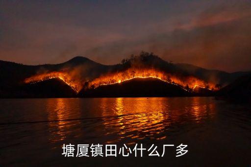 塘廈鎮田心什么廠多