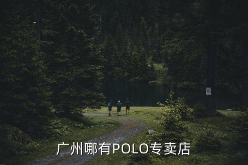 東莞南方亞飛汽車城，廣州哪有POLO專賣店