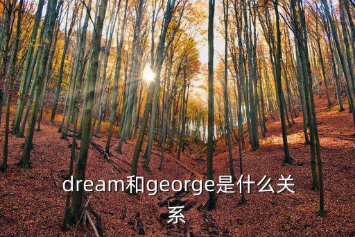 dream,因為dreams是復數所以名字含義更深