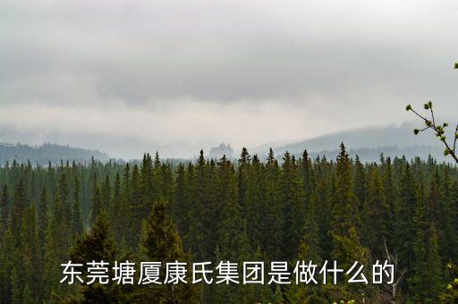 東莞塘廈康氏集團是做什么的