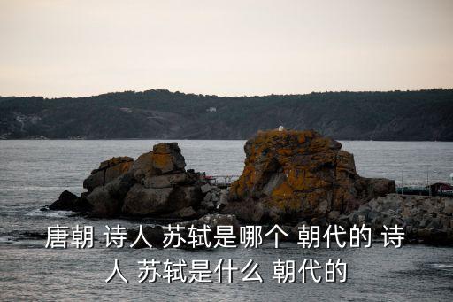 唐朝 詩人 蘇軾是哪個 朝代的 詩人 蘇軾是什么 朝代的