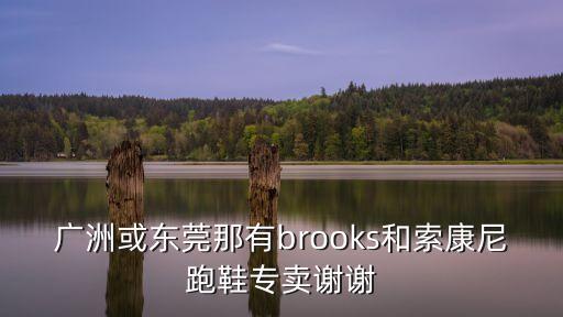 廣洲或東莞那有brooks和索康尼跑鞋專賣謝謝