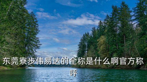 東莞寮步偉易達(dá)的全稱是什么啊官方稱呼