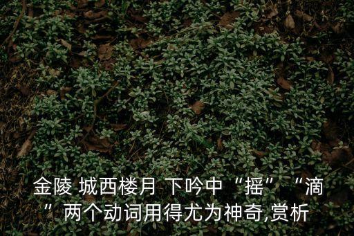 金陵城西樓月下吟,滴和抖讓靜止畫面飛起來