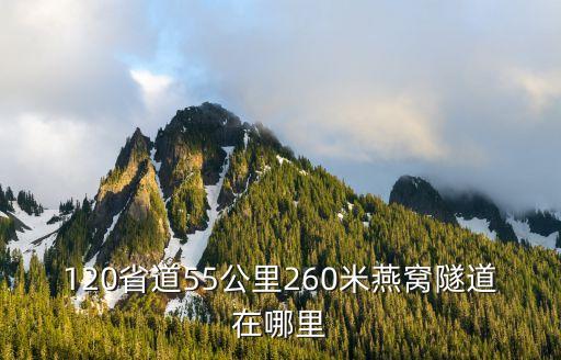 120省道55公里260米燕窩隧道在哪里