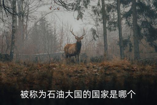 石油大國是哪個國家，被稱為石油大國的國家是哪個