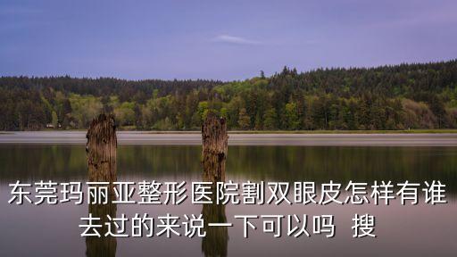 東莞瑪麗亞整形醫(yī)院割雙眼皮怎樣有誰(shuí)去過(guò)的來(lái)說(shuō)一下可以嗎  搜