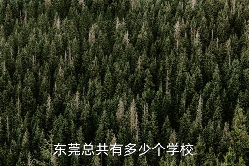 東莞總共有多少個學校