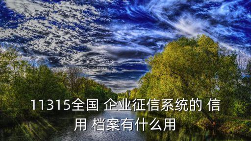 11315全國(guó) 企業(yè)征信系統(tǒng)的 信用 檔案有什么用