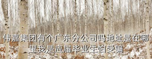 偉嘉集團有個廣東分公司嗎地址是在哪里我是應屆畢業(yè)生怕受騙