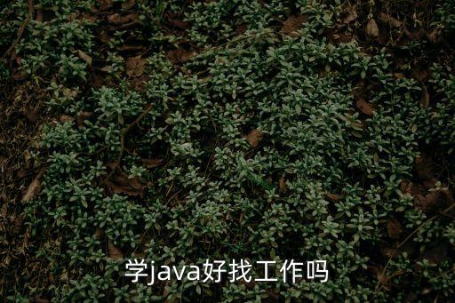 東莞java不好就業，Java學了幾個月但還是不好找工作去面試人一聽沒工作經驗就說再